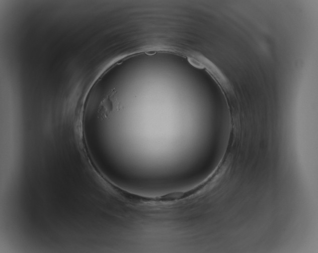 X0000100941244200806241420