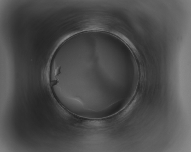 X0000100941246200806241420