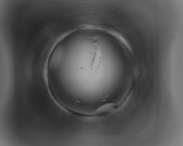 X0000100941247200806241420