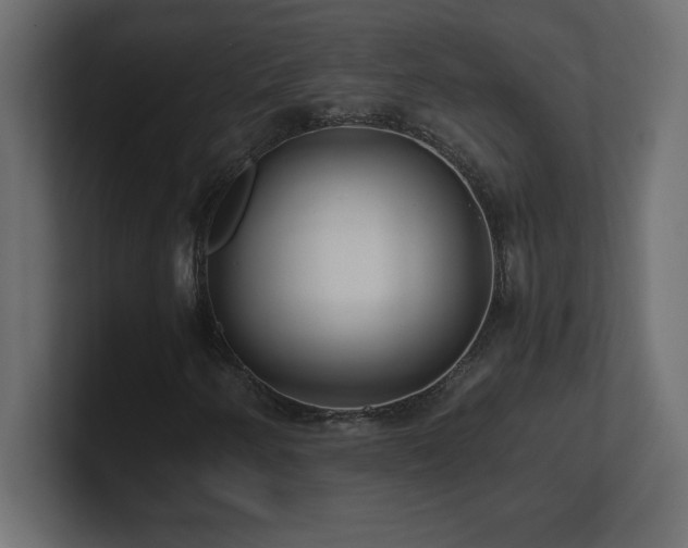 X0000100941250200806241420