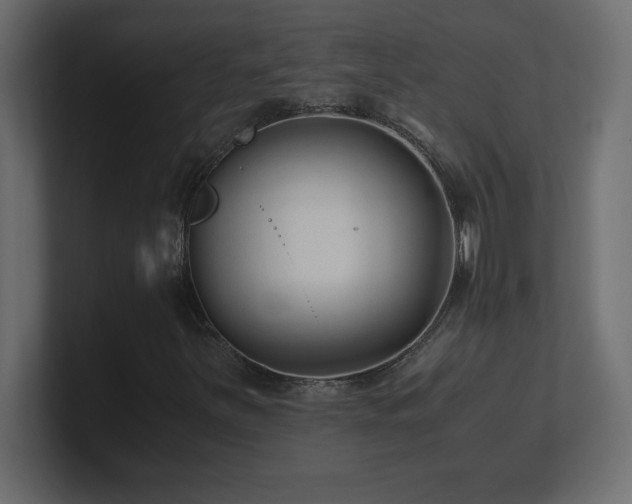 X0000100941251200806241420