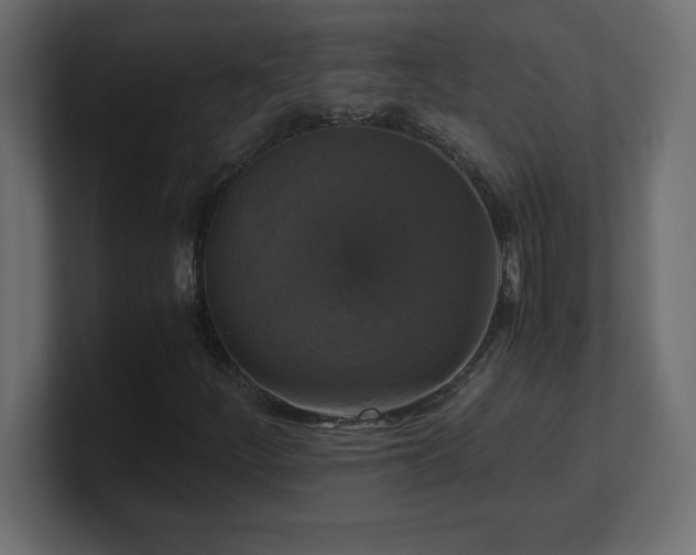 X0000100941252200806241420
