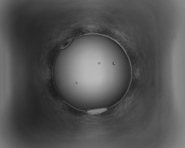 X0000100941253200806241420