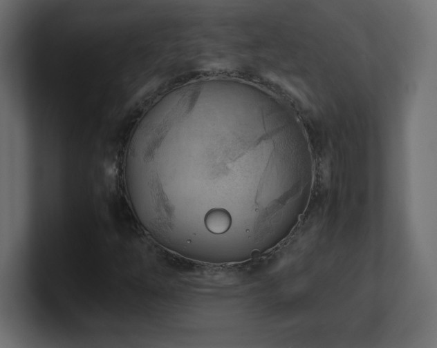 X0000100941254200806241419