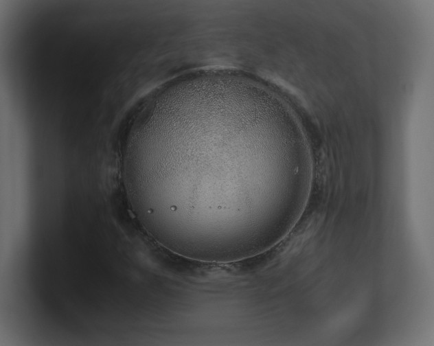 X0000100941255200806241419