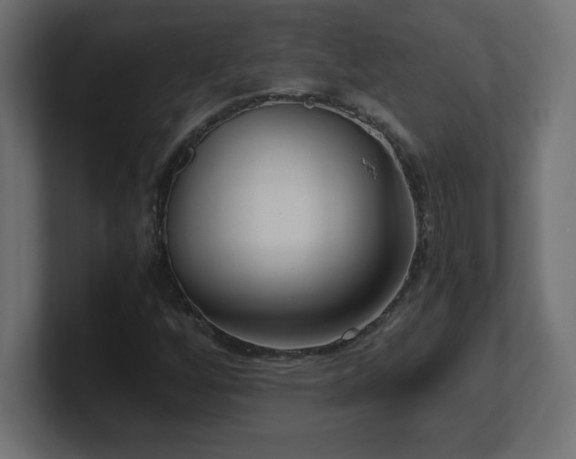 X0000100941256200806241419