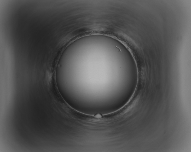 X0000100941257200806241419