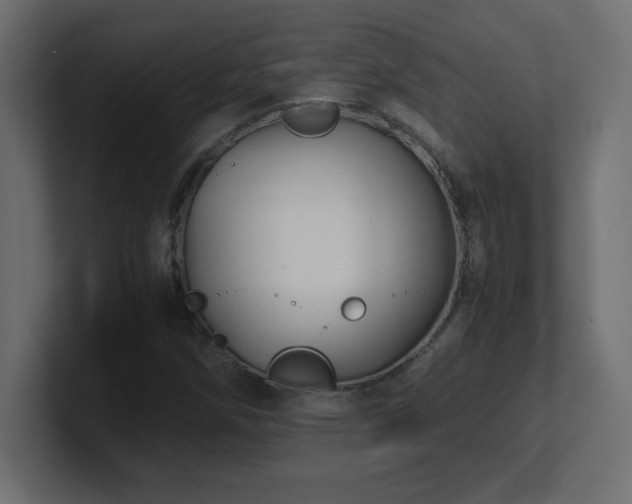 X0000100941258200806241419