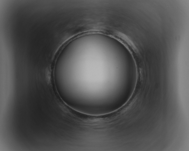 X0000100941260200806241419