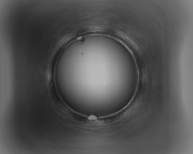 X0000100941261200806241419