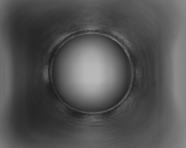 X0000100941262200806241419
