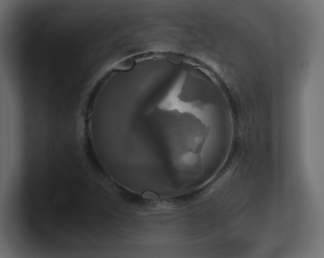 X0000100941263200806241419