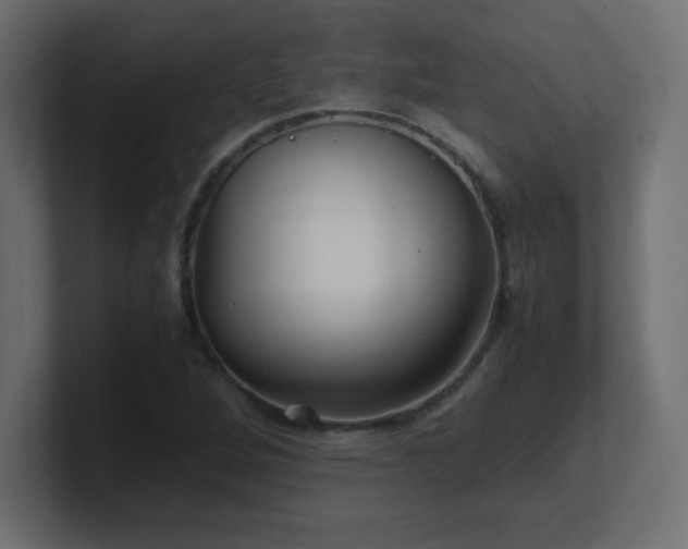 X0000100941264200806241419