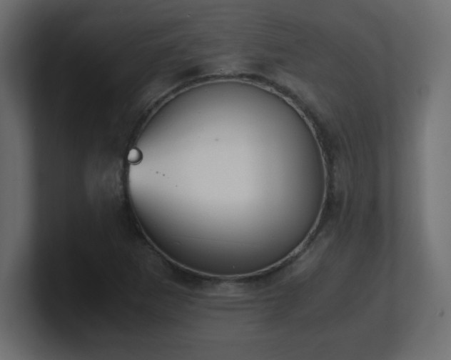 X0000100941265200806241419