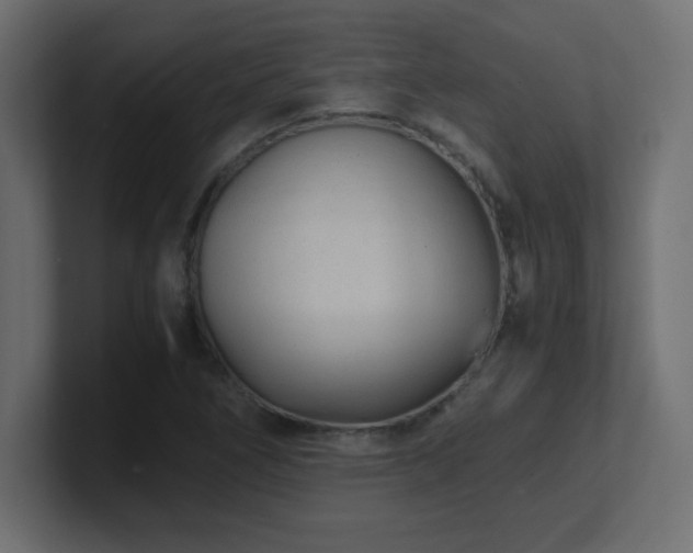 X0000100941266200806241419