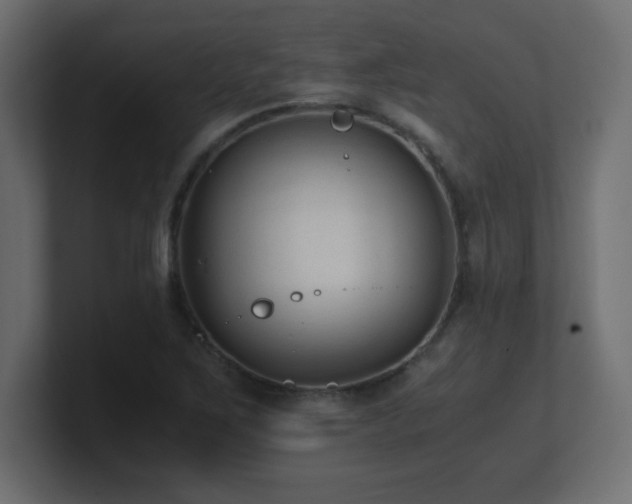 X0000100941267200806241419