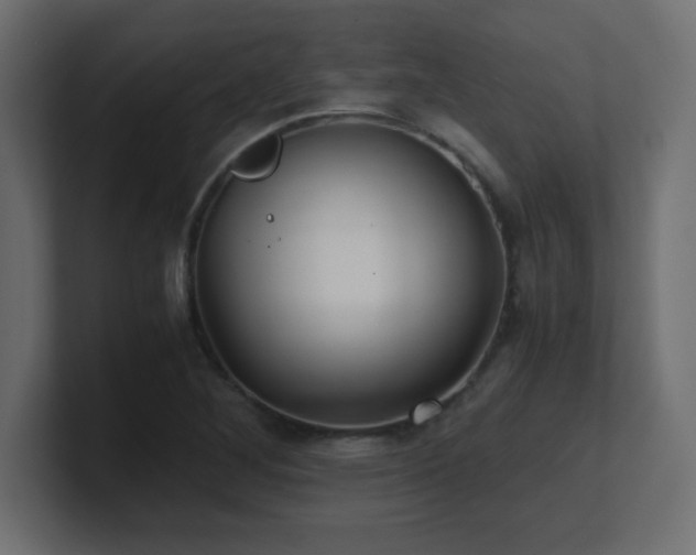 X0000100941268200806241419