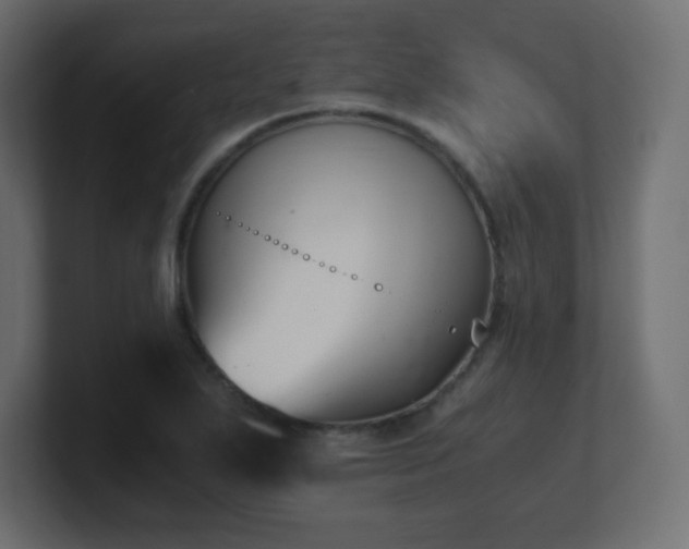X0000100941271200806241419