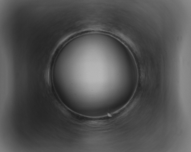 X0000100941272200806241419