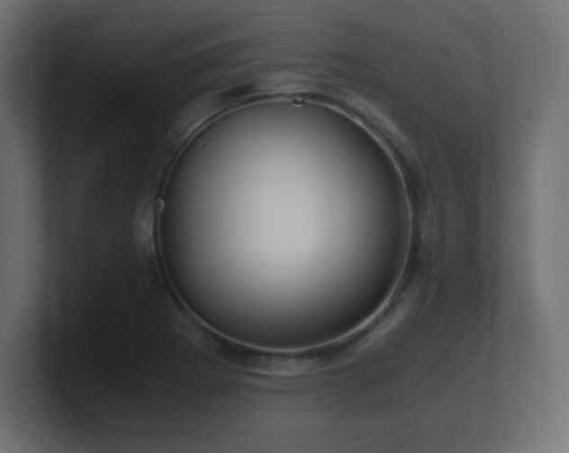 X0000100941273200806241419