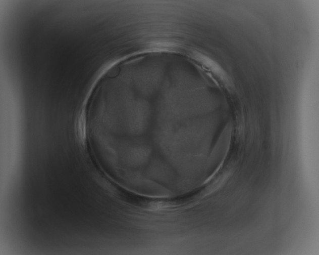 X0000100941275200806241419