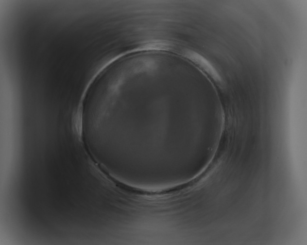 X0000100941276200806241419