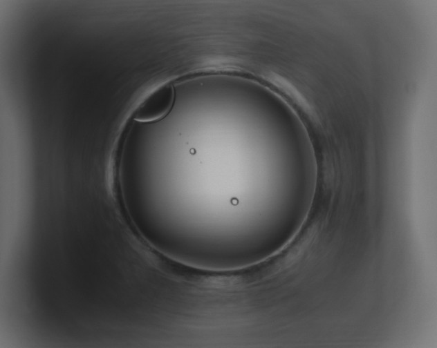 X0000100941277200806241419