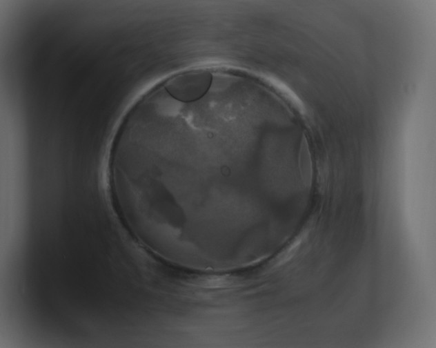 X0000100941279200806241419