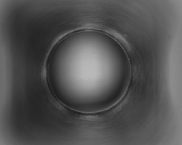 X0000100941280200806241419