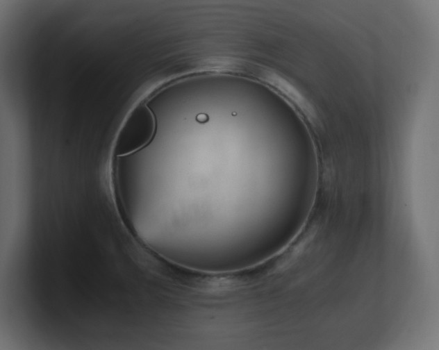 X0000100941283200806241419