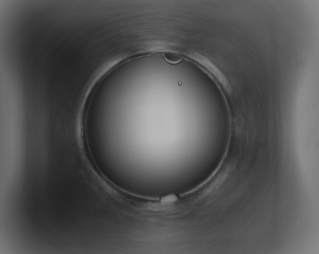 X0000100941285200806241419