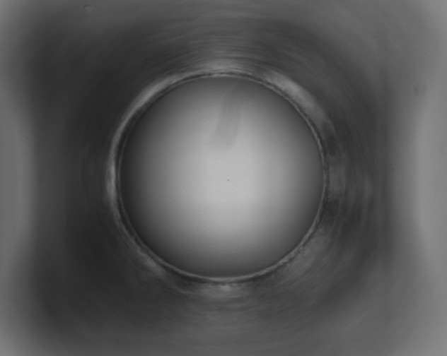 X0000100941286200806241419