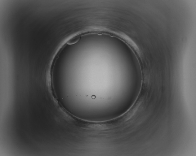 X0000100941287200806241419