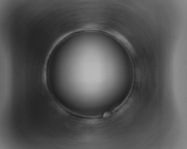 X0000100941288200806241419