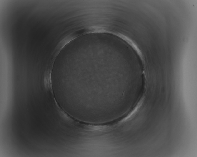 X0000100941289200806241419
