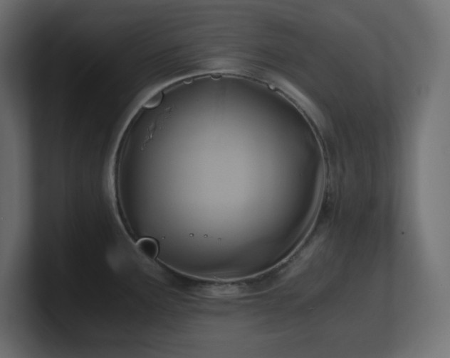 X0000100941291200806241419