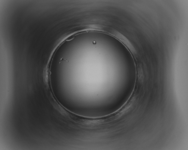 X0000100941292200806241419
