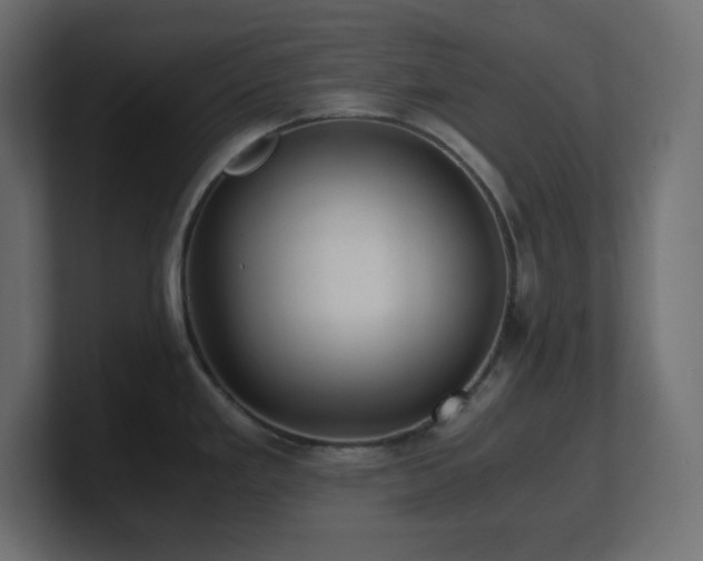 X0000100941293200806241419