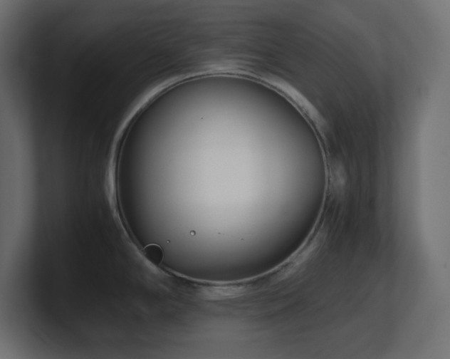 X0000100941294200806241419