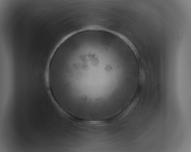 X0000100941295200806241419