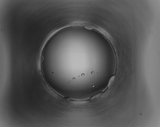 X0000100941296200806241419
