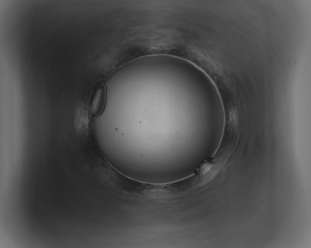 X0000100941300200806241418