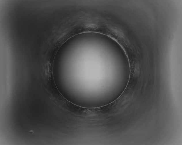 X0000100941301200806241418