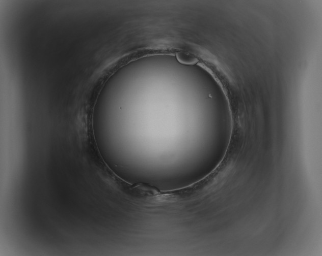 X0000100941304200806241418