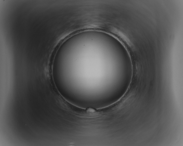 X0000100941308200806241418