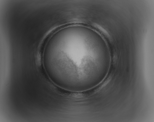 X0000100941310200806241418