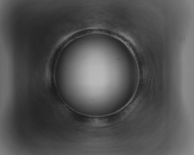 X0000100941311200806241418