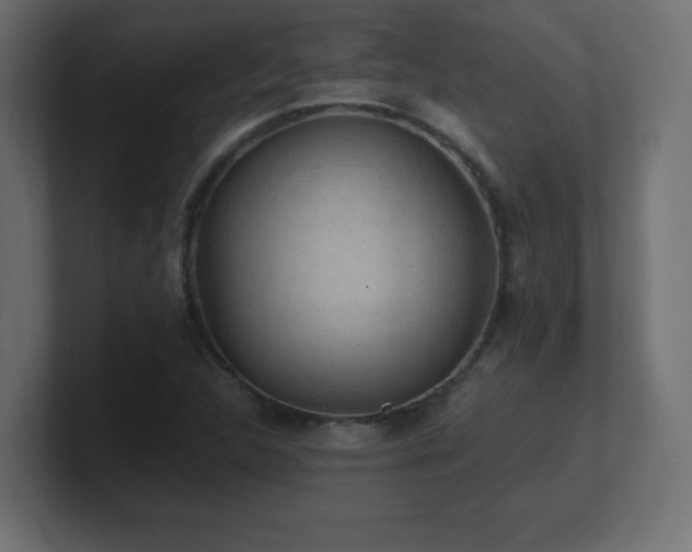 X0000100941312200806241418