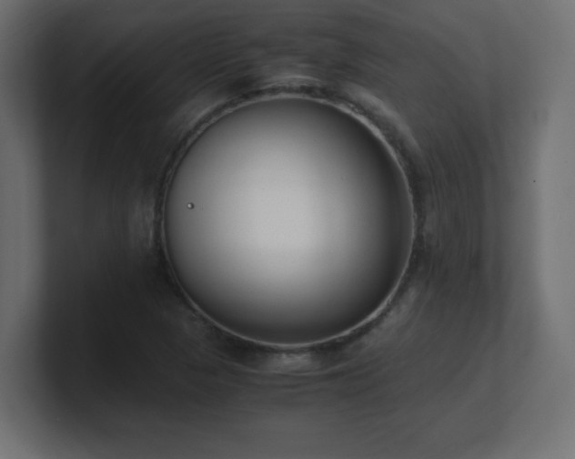 X0000100941313200806241418