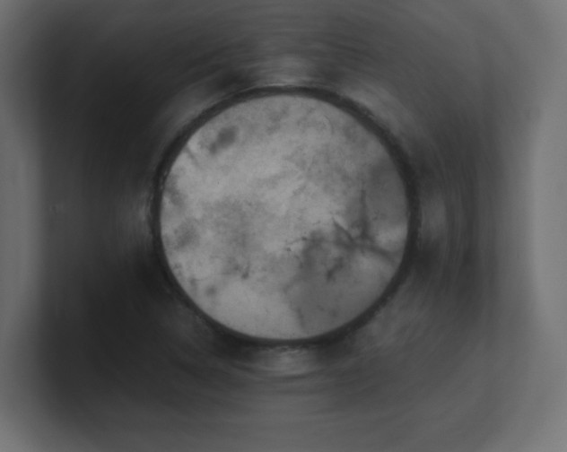 X0000100941314200806241418